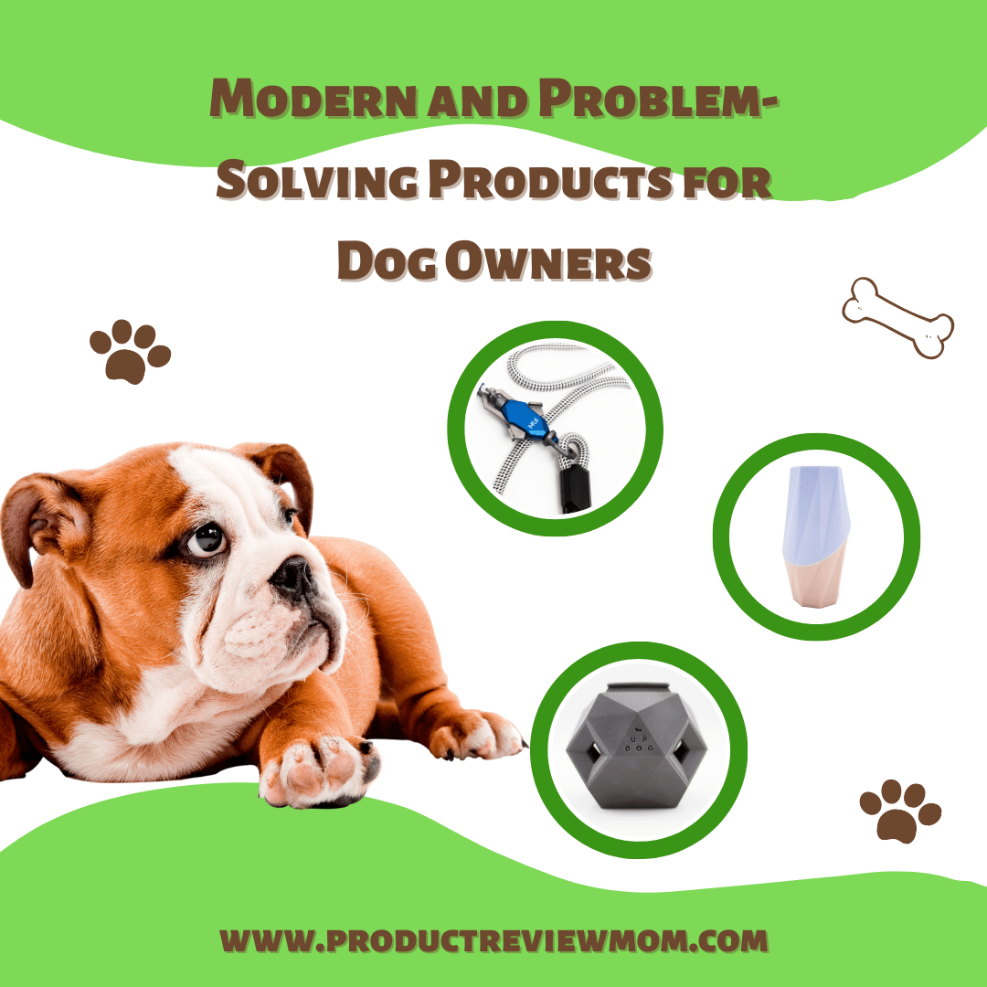 Modern and Problem-Solving Products for Dog Owners